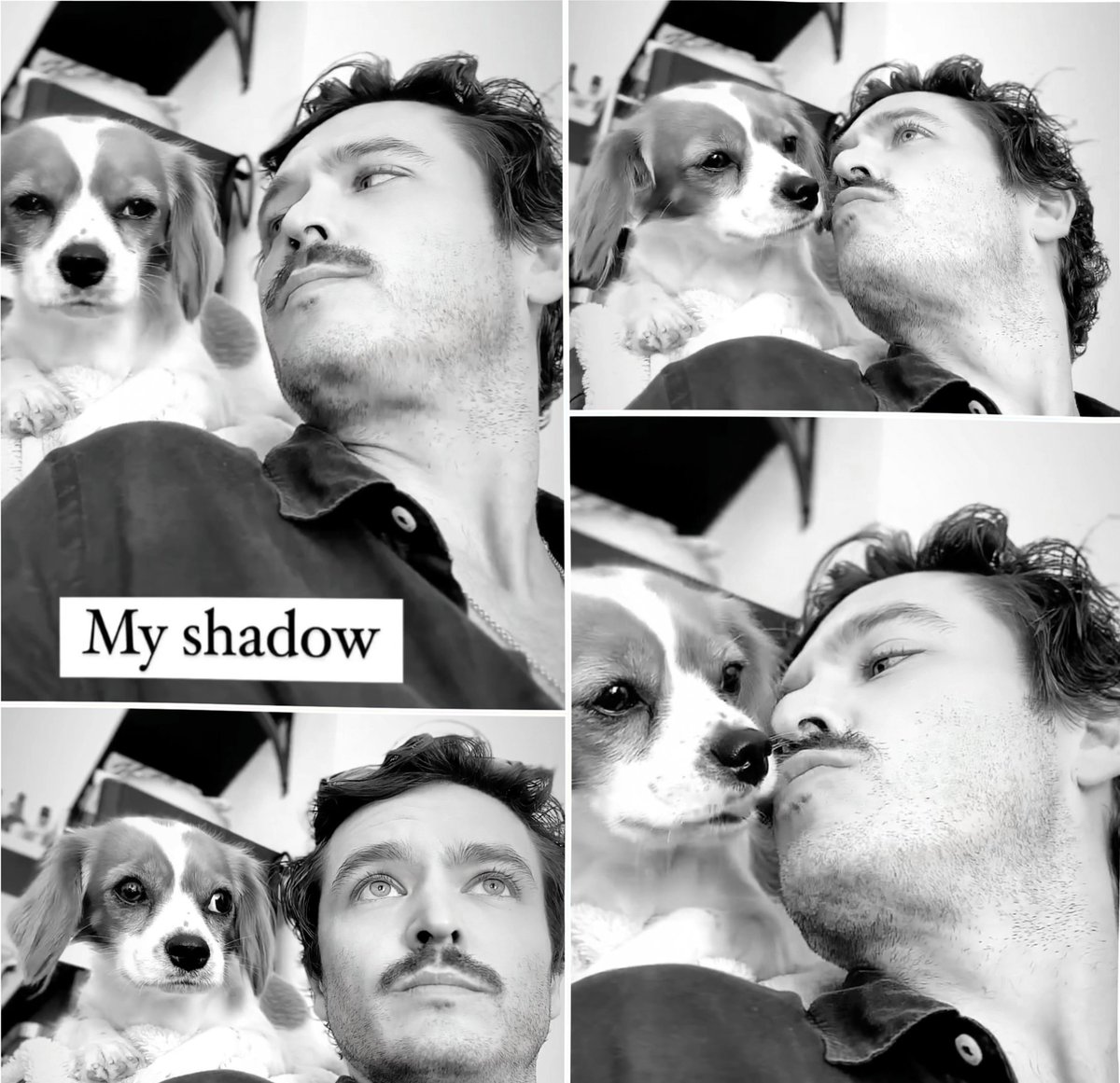 Rebby_D's tweet photo. Sooo lovely.💌#alexandervlahos #cowhouse #cowhousefilms #Lola #watchtower #hereweare https://t.co/lMSaaOLGMQ