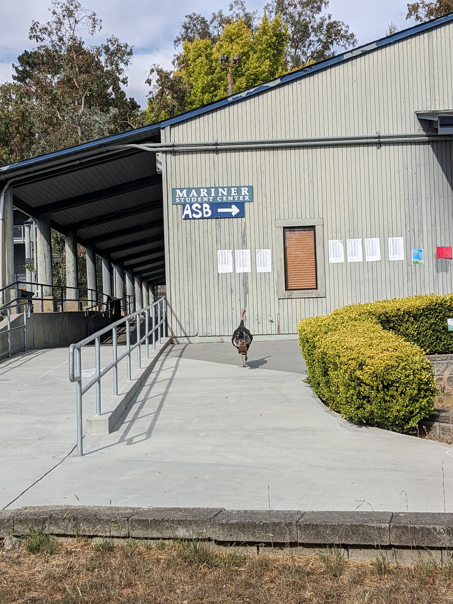 First week down as assistant principal at Aptos High School.

Someone took this nice pic of me.
Felt handsome, might delete later.