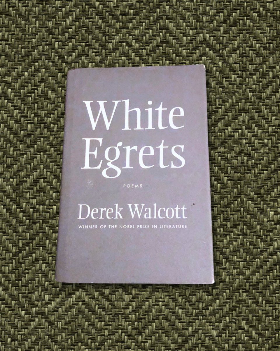 readalittlepoem's tweet image. Day 19 of The Sealey Challenge (@SealeyChallenge). Today&apos;s offering is White Egrets by Derek Walcott, published by Farrar, Straus and Giroux (@fsgbooks), 2010.

#TheSealeyChallenge #sealeychallenge #thesealeychallenge2023