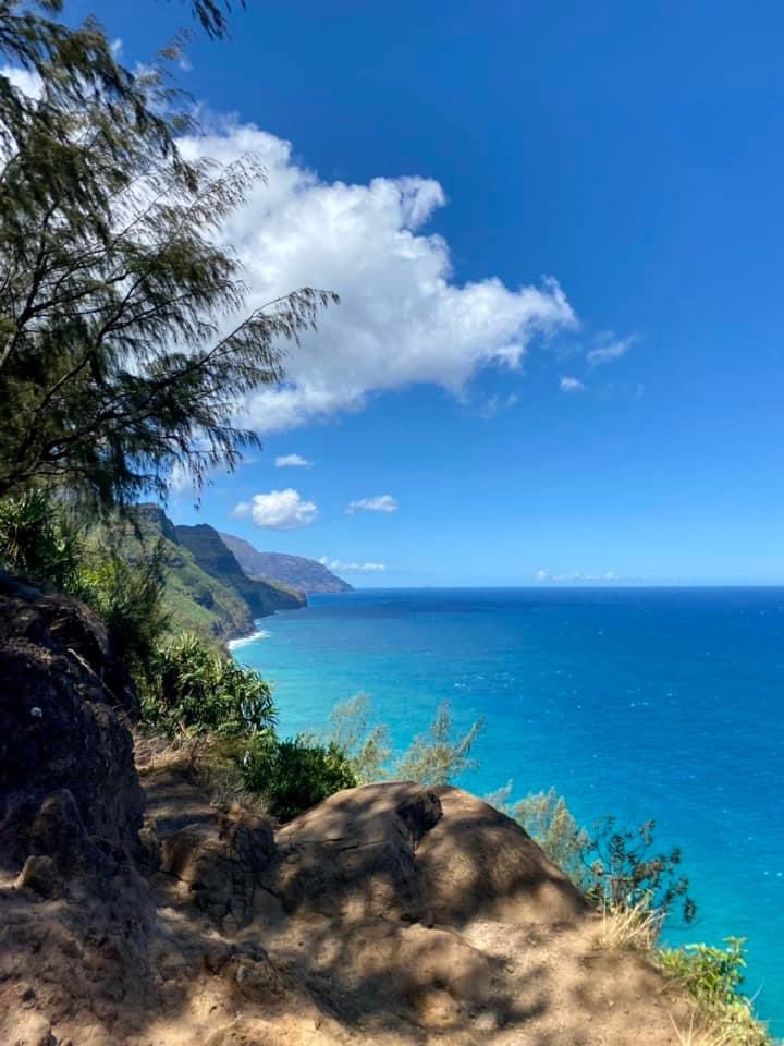 Joshua Hersch tweet media