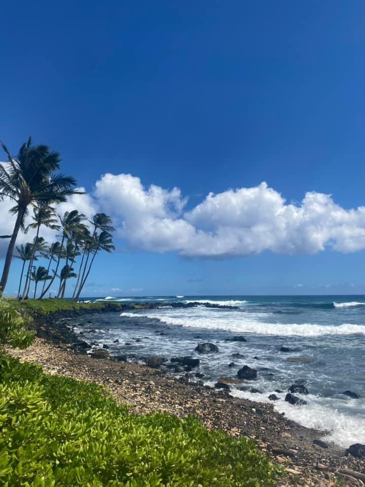 Joshua Hersch tweet media