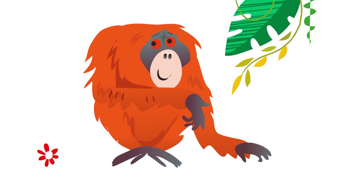 #InternationalOrangutanDay! 🦧 We've picked some of the best websites where you can discover fascinating facts about orangutans, why they are critically endangered and how we can help protect them.

Discover the Quicklinks: bit.ly/3sit9NI