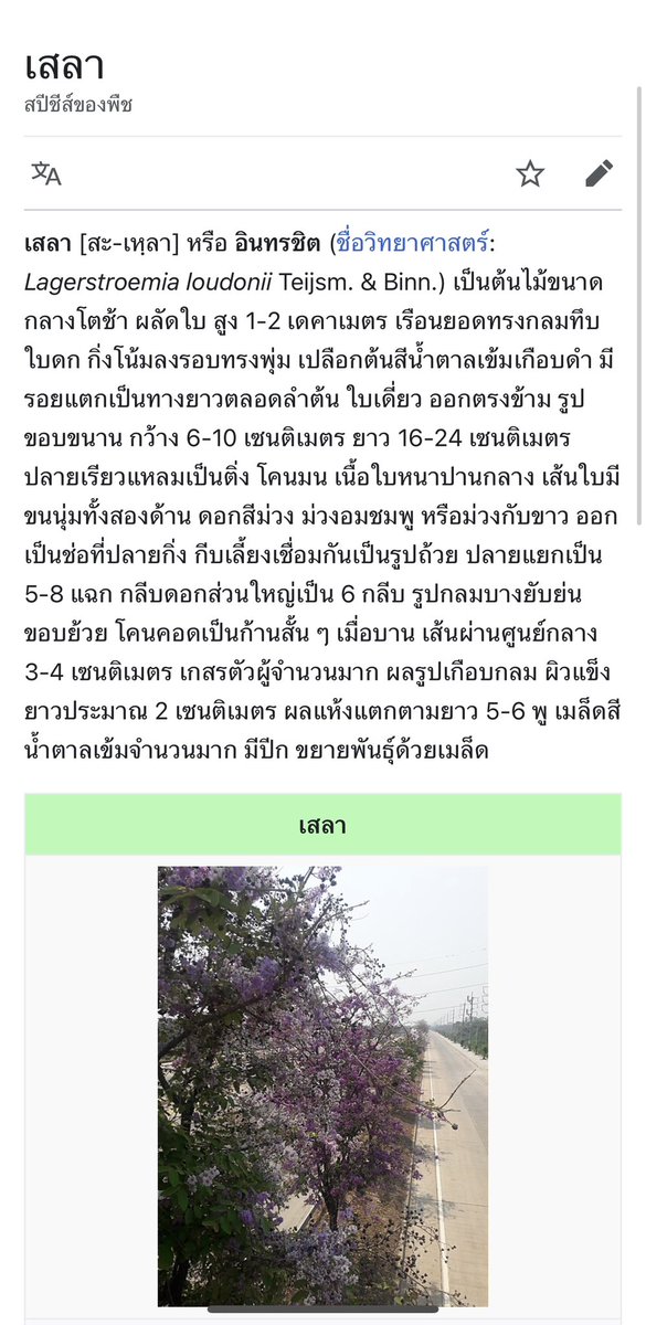 พีเคไม่เคยอ่าน "เสลา" ที่อ่านว่า "สะ-เหลา" ป่ะ เห็นอ่าน เส-ลา มา 2 วันหล่ะ #MissUniverseThailand2023