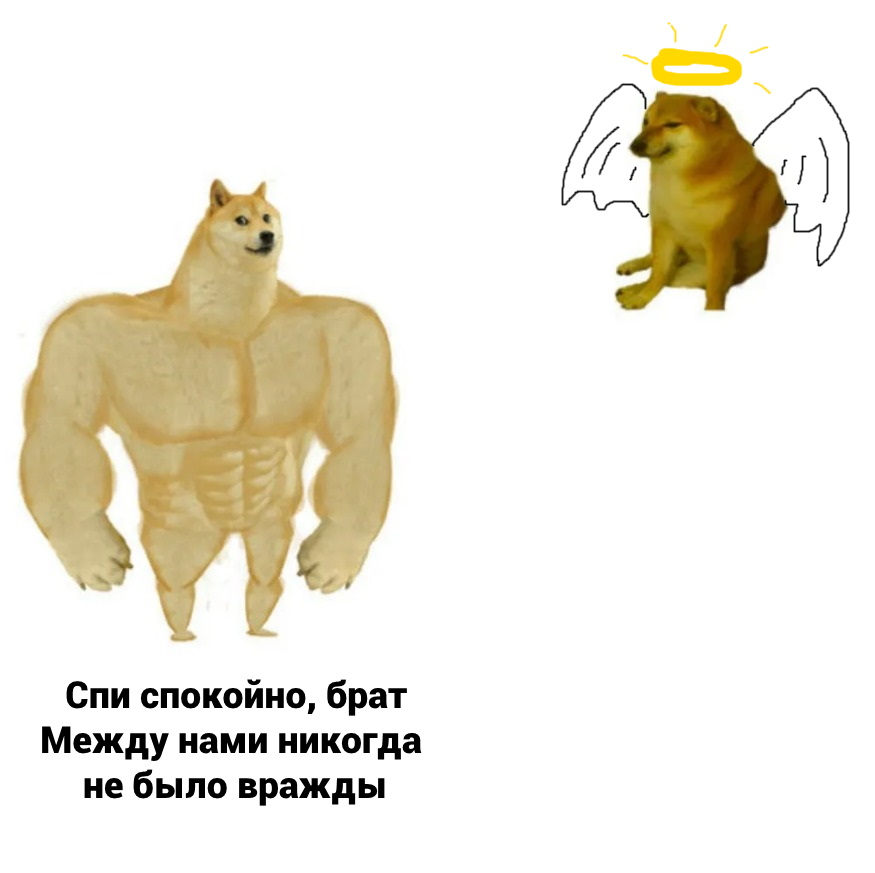 ChtoKovo's tweet photo. https://t.co/311nzTlLc2