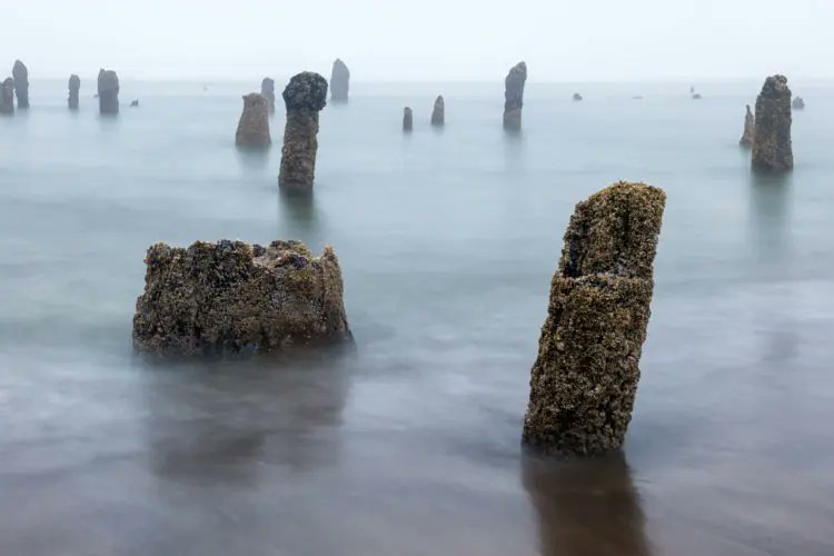 On Jan. 26, 1700 CE at 9 p.m. PST, 1,000 kilometres of fault ruptured on the Pacific Coast, slipping 20 meters and creating an 8.7-9.2 earthquake.

This is the story of the Cascadia Earthquake that tore through the B.C. coast.

It was on that day when a megathrust earthquake