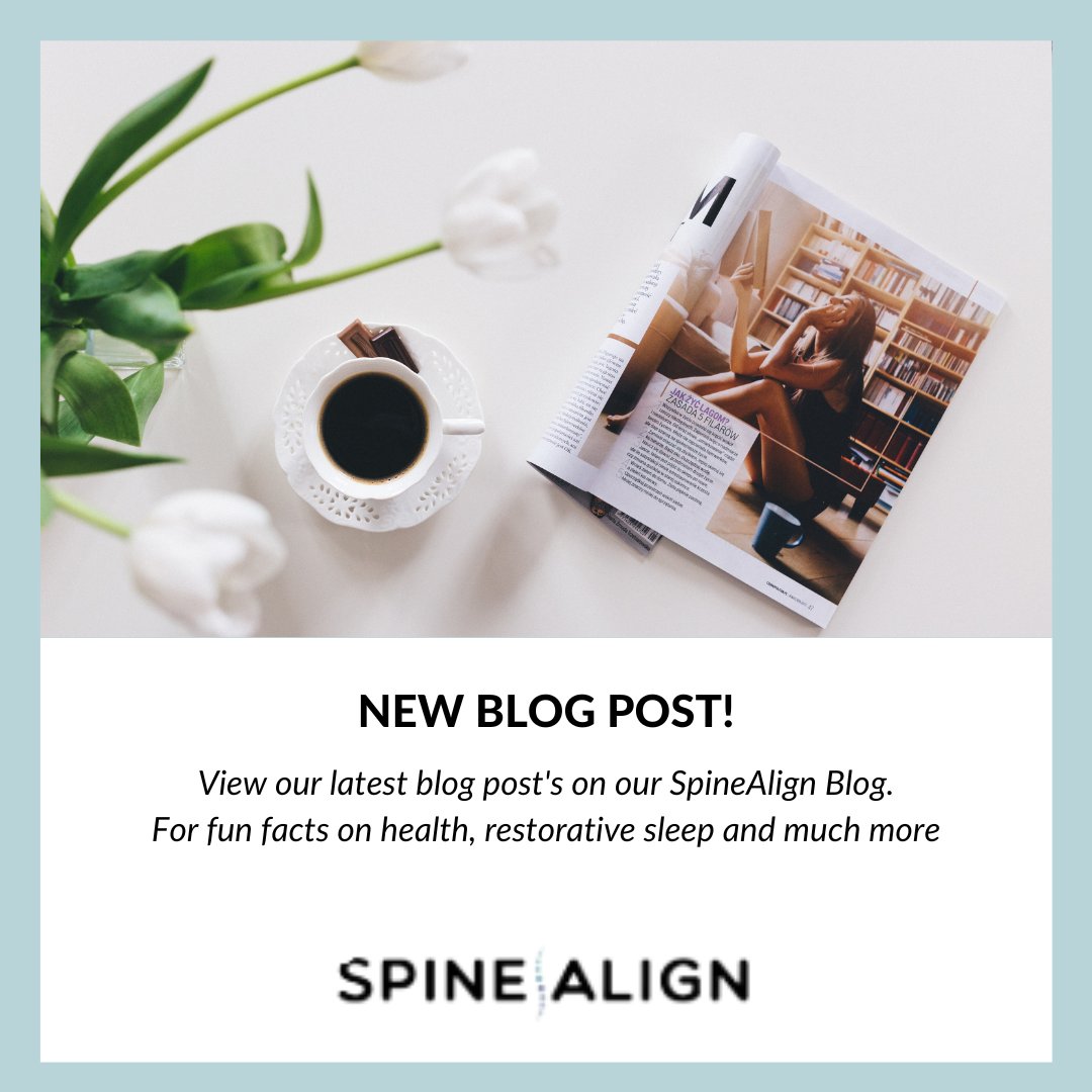 spinealignsleep's tweet photo. Check out our latest blog posts:
https://t.co/5OL4TQ1wli

#blogpost #blogpost #blogposts #blogposting #blogpostalert #blogpostoftheday #health #selfcare #wellness #BetterSleep #bettersleep #restorativesleep #healthy #inspiration #healthylifestyle https://t.co/k9TFERJ7X3