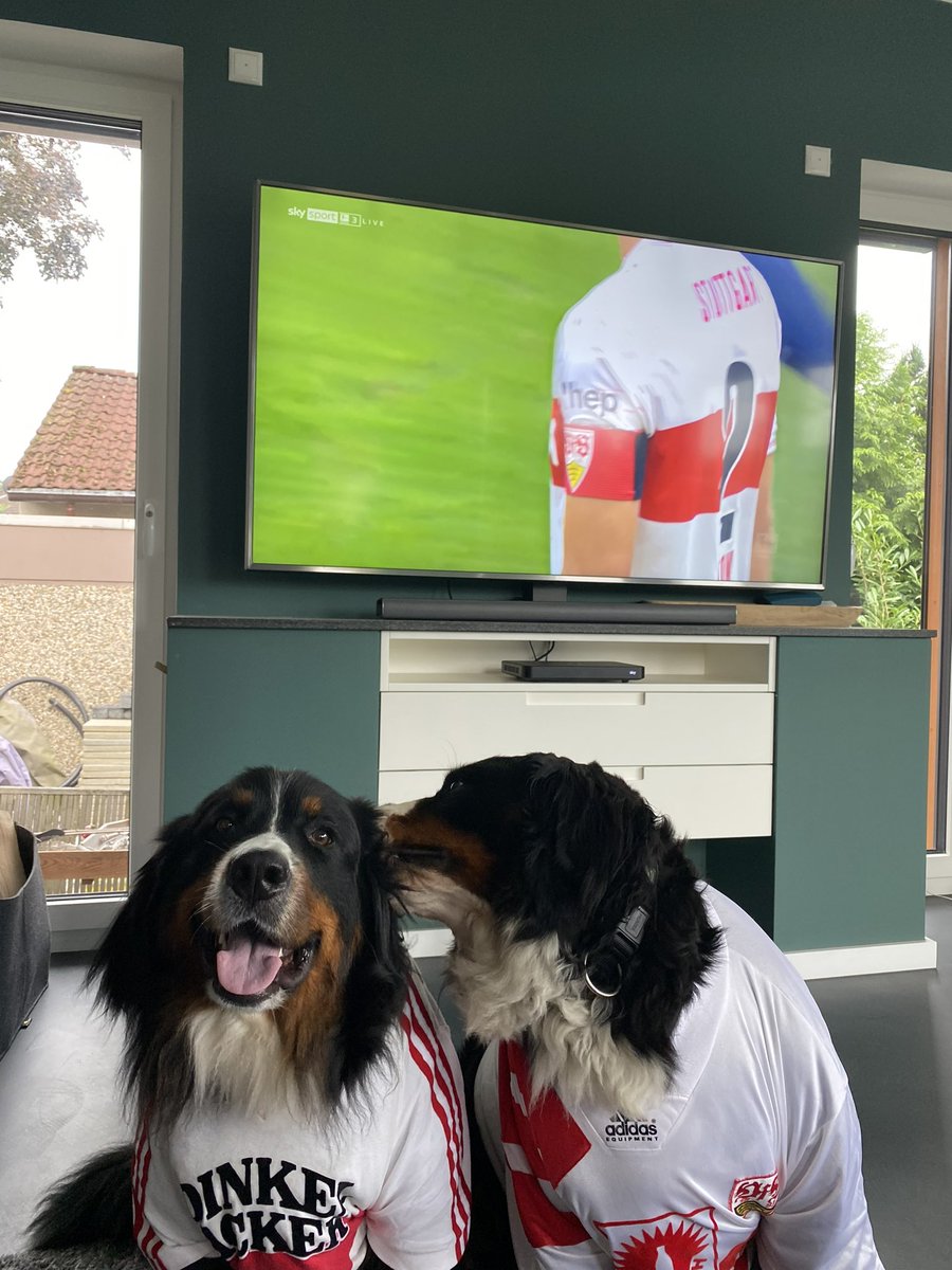 Zillertal_de's tweet photo. Hey Bruder noch eins dann sind wir .. … SPITZENREITER !!! #VfB #VfBBOC https://t.co/sFUNVO4g9d
