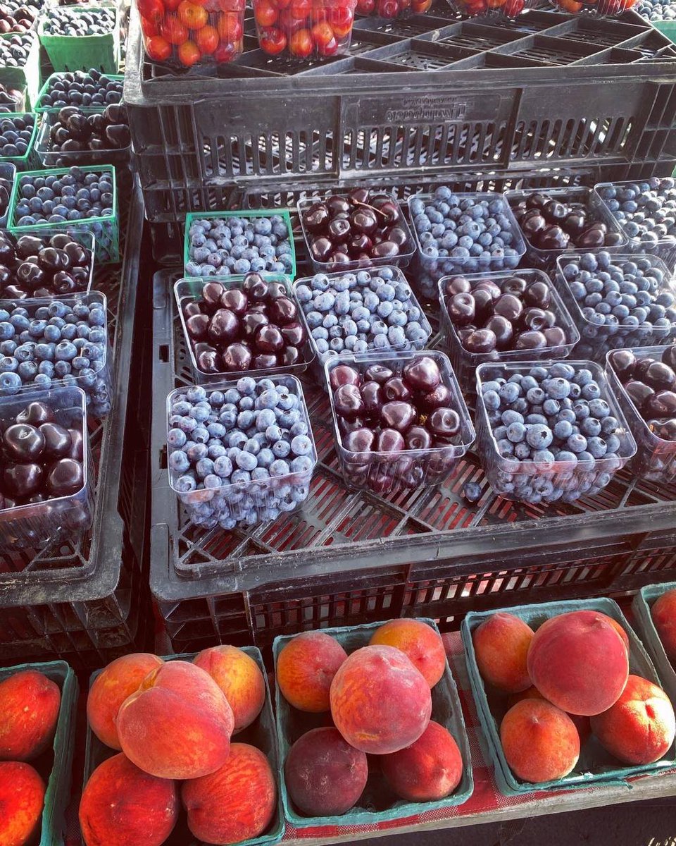 Raspberry_1123's tweet image. Purchasing Essentials - Blueberries😆