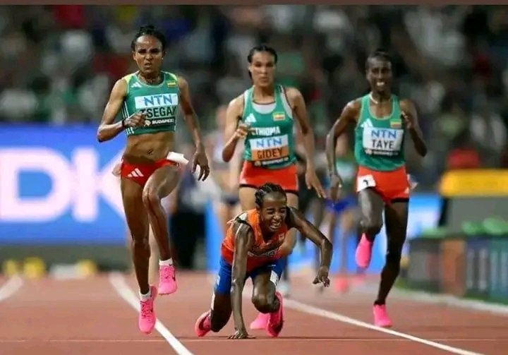 Dr Yilkal Kefale Asres tweet media