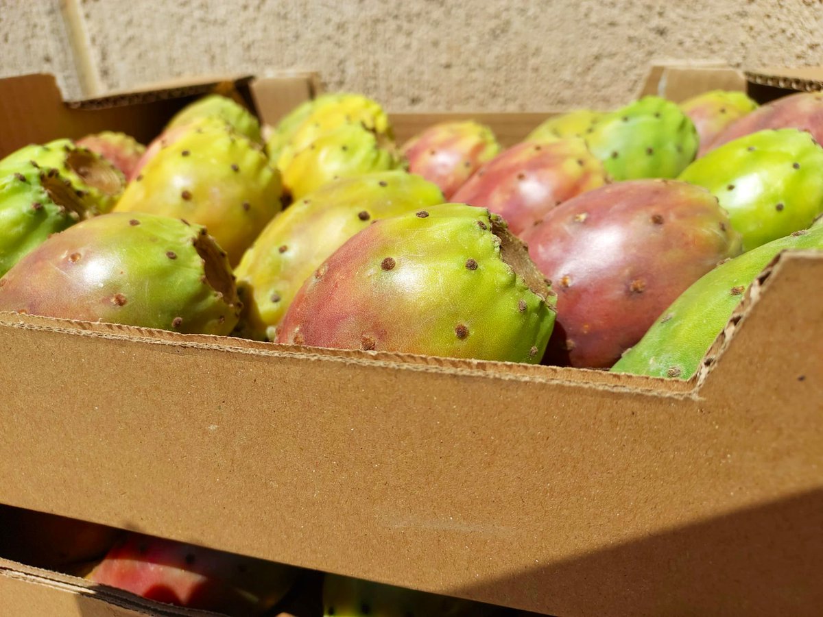 Higos chumbos en Frutas Joyma