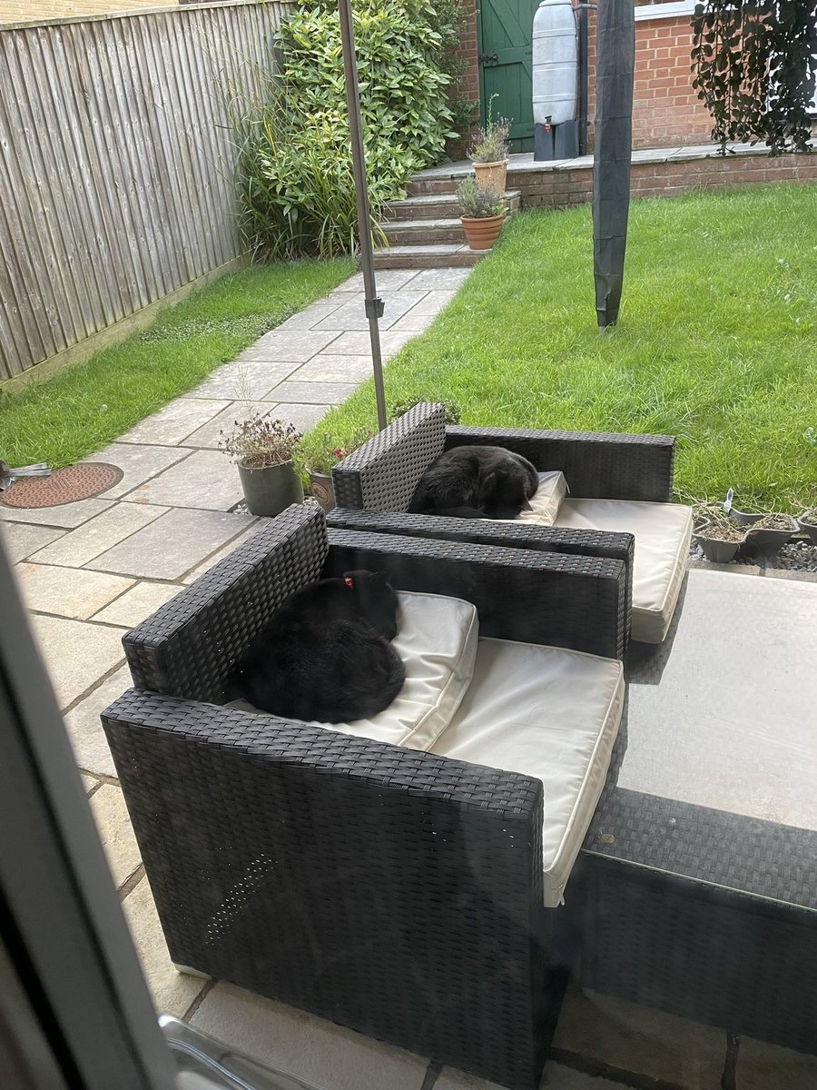 marmadge's tweet photo. At least the garden furniture has been SOME use this ‘summer’ …. 🙈 🐈‍⬛ 🐈‍⬛ 
#catssleeping  #blackcats #rubbishsummer #lifeofcats #imonthesofainmypjs https://t.co/GR6b1nzpAC