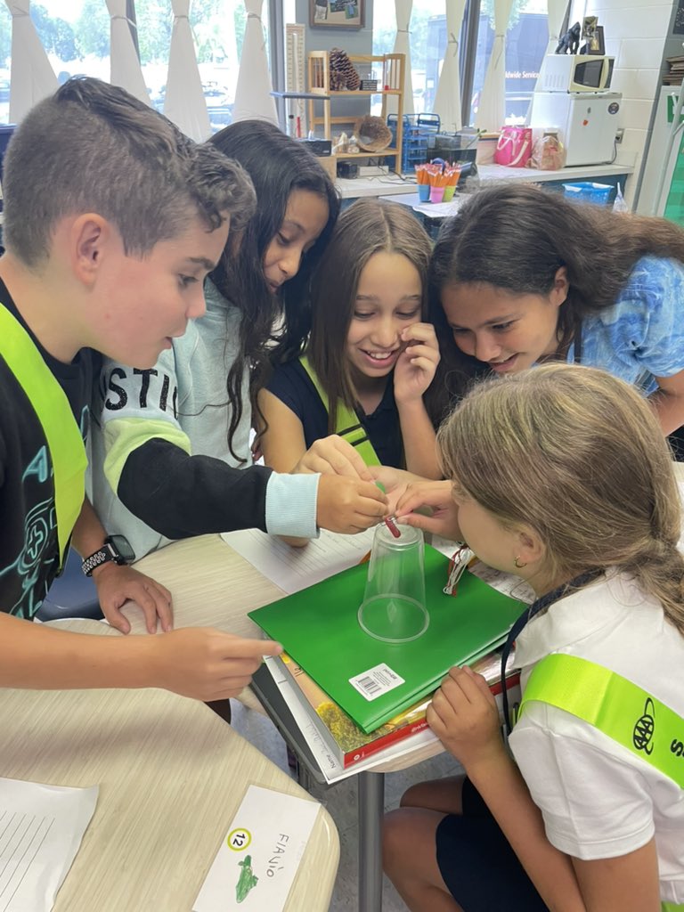 Dawn Sarnelli tweet media