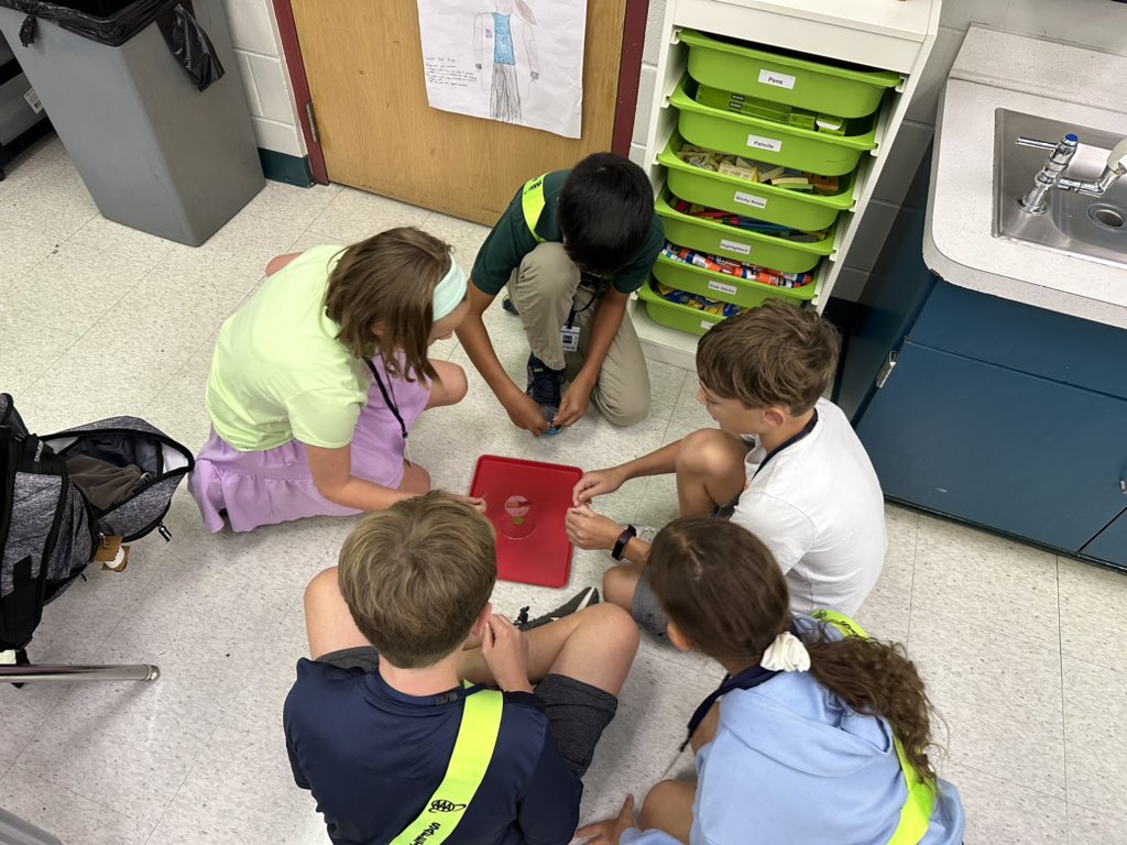 Dawn Sarnelli tweet media