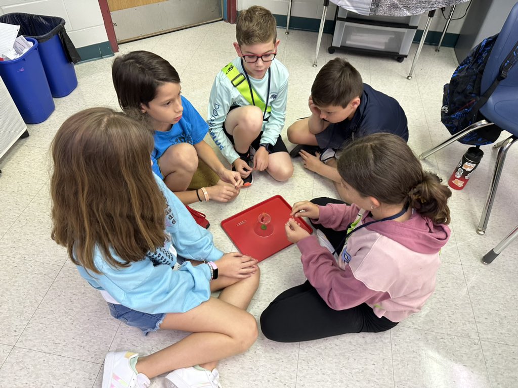 Dawn Sarnelli tweet media