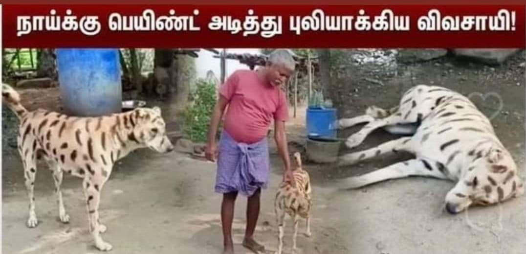 AravindRajaOff's tweet photo. ஹூக்கும்.. டைகர்கா ஹுக்கும்.🔥 https://t.co/voLe5dtPcY