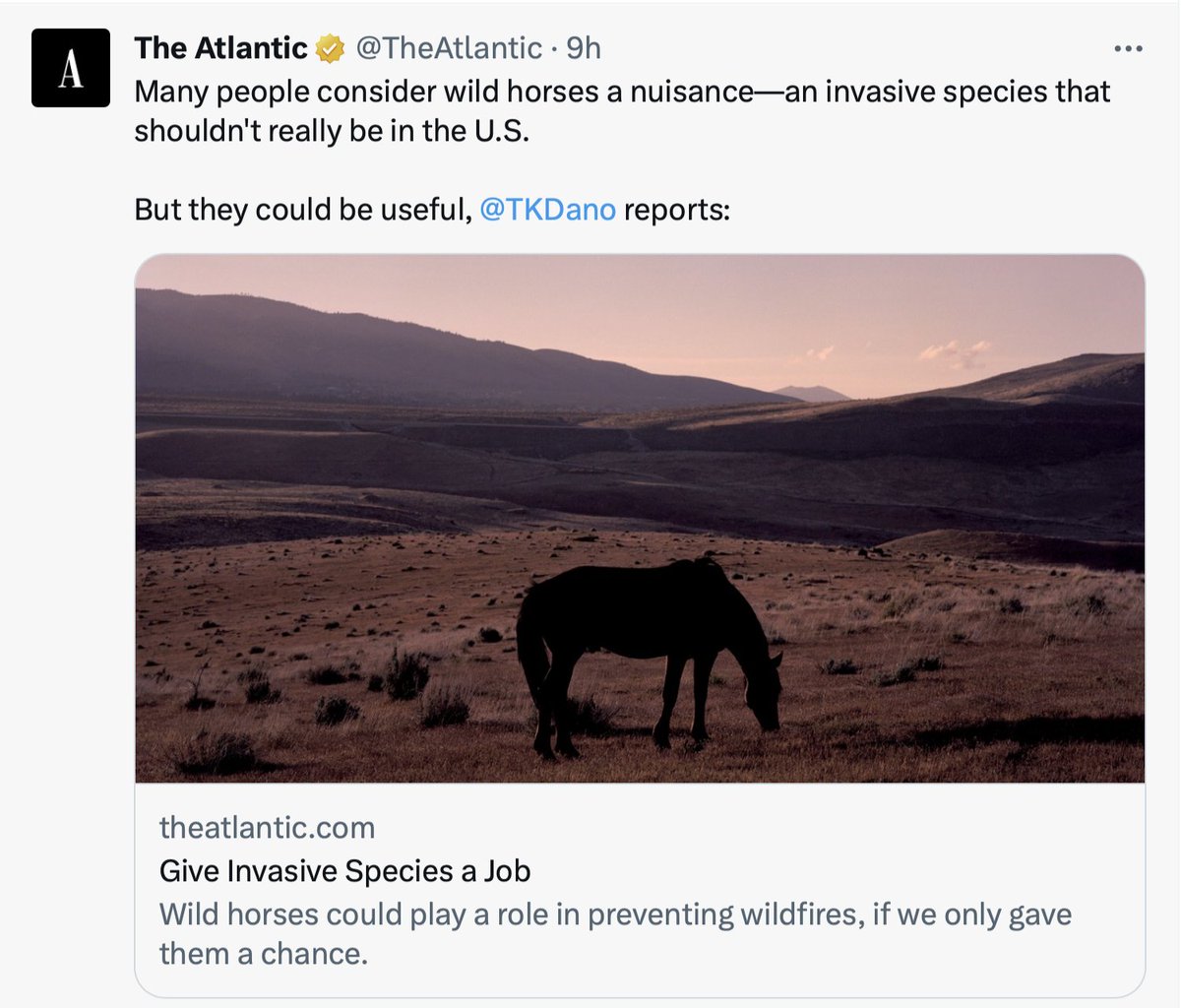 OfficialWHFB's tweet image. The Atlantic's article tagging American Wild Horses as 'Invasive Species' is placing horses in further jeopardy by horse haters

Does use of this incorrect tag by the editor at The Atlantic signal support for livestock industry?

#WildHorses @JeffreyGoldberg #vegan @TheAtlantic