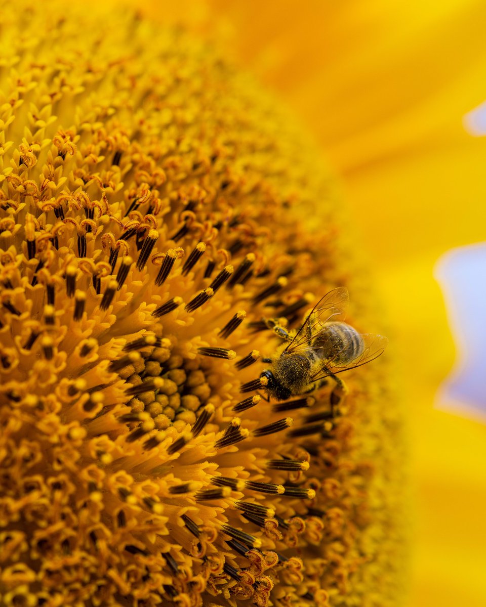 On behalf of #WorldPhotographyDay we want to share these wonderful pics with you and we hope that they inspire you to see the world from a different perspective. 🌟📷

Cheers to Agron Istrefi for these awesome photographs! ❤️

#VisualStorytelling #Photography #PolarBearAgency
