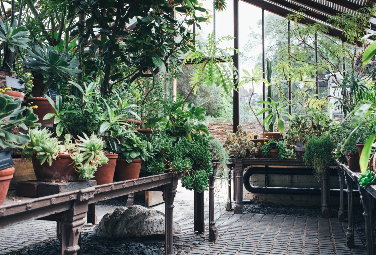 Under three weeks to go until our Glasshouses reopen! We're very excited to welcome visitors through the doors. You will be able to read 52 new panels exploring the medicinal, herbal, cultural and useful significance of our plant collection. Open 7 September. @HeritageFundUK