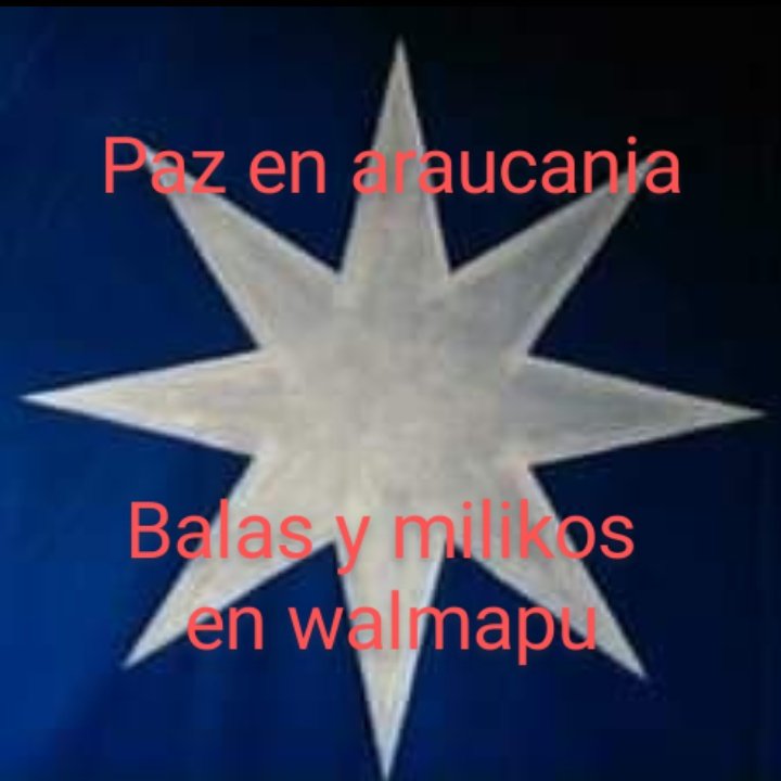 Taimante tweet media