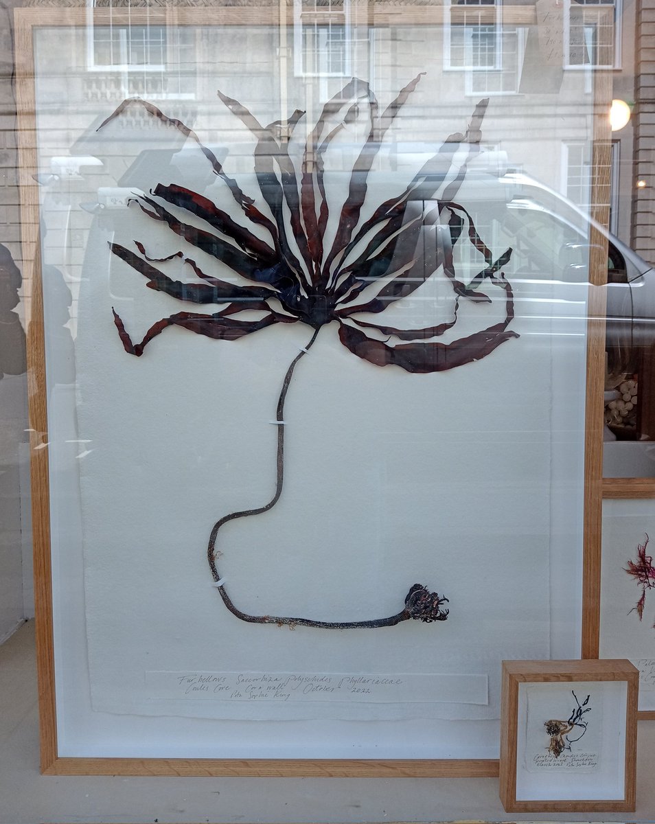 Alastair Culham tweet media