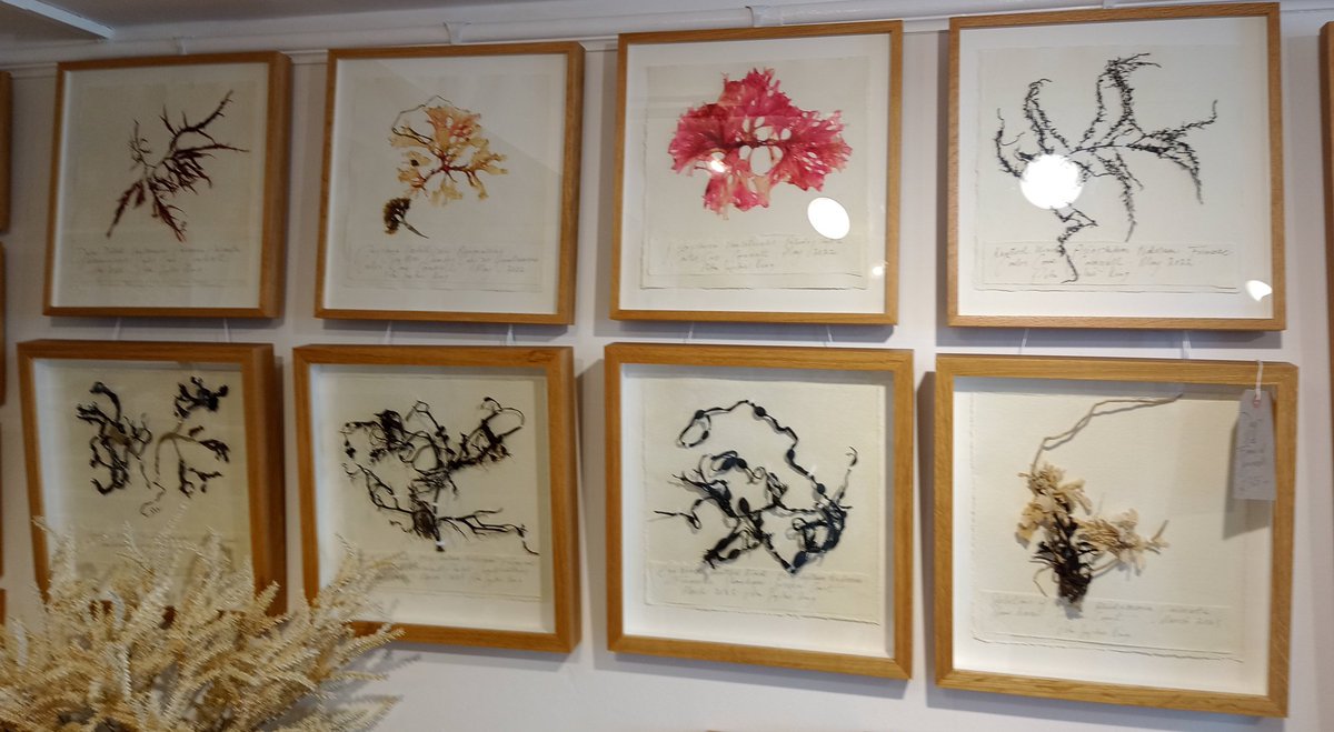 Alastair Culham tweet media