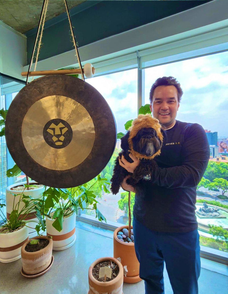 thazhmon's tweet photo. Floyd, the scariest little lion 🦁 at @jeeves_inc CDMX office 🇲🇽🐶😂 @BCSiu https://t.co/LjRu5foX8m