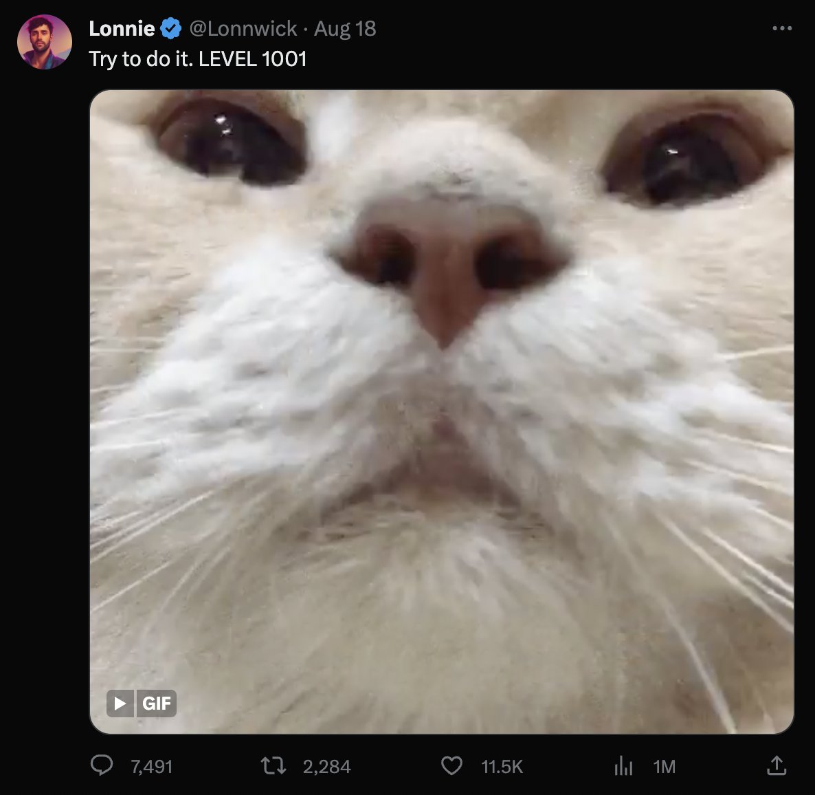 jaz tweet media