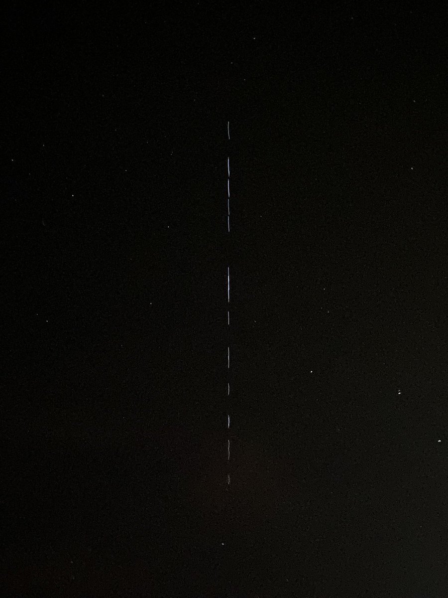 Pilar Noguera tweet media