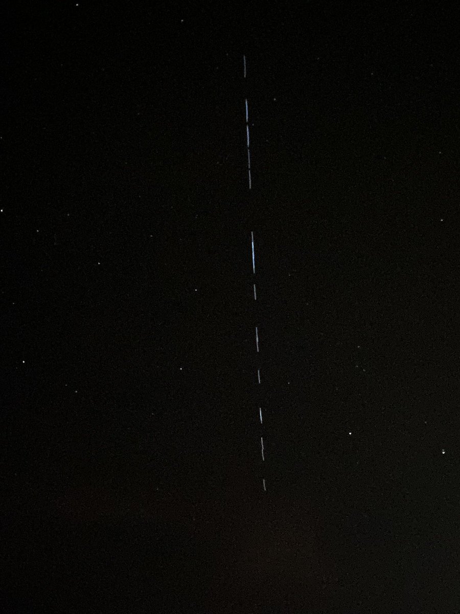 Pilar Noguera tweet media