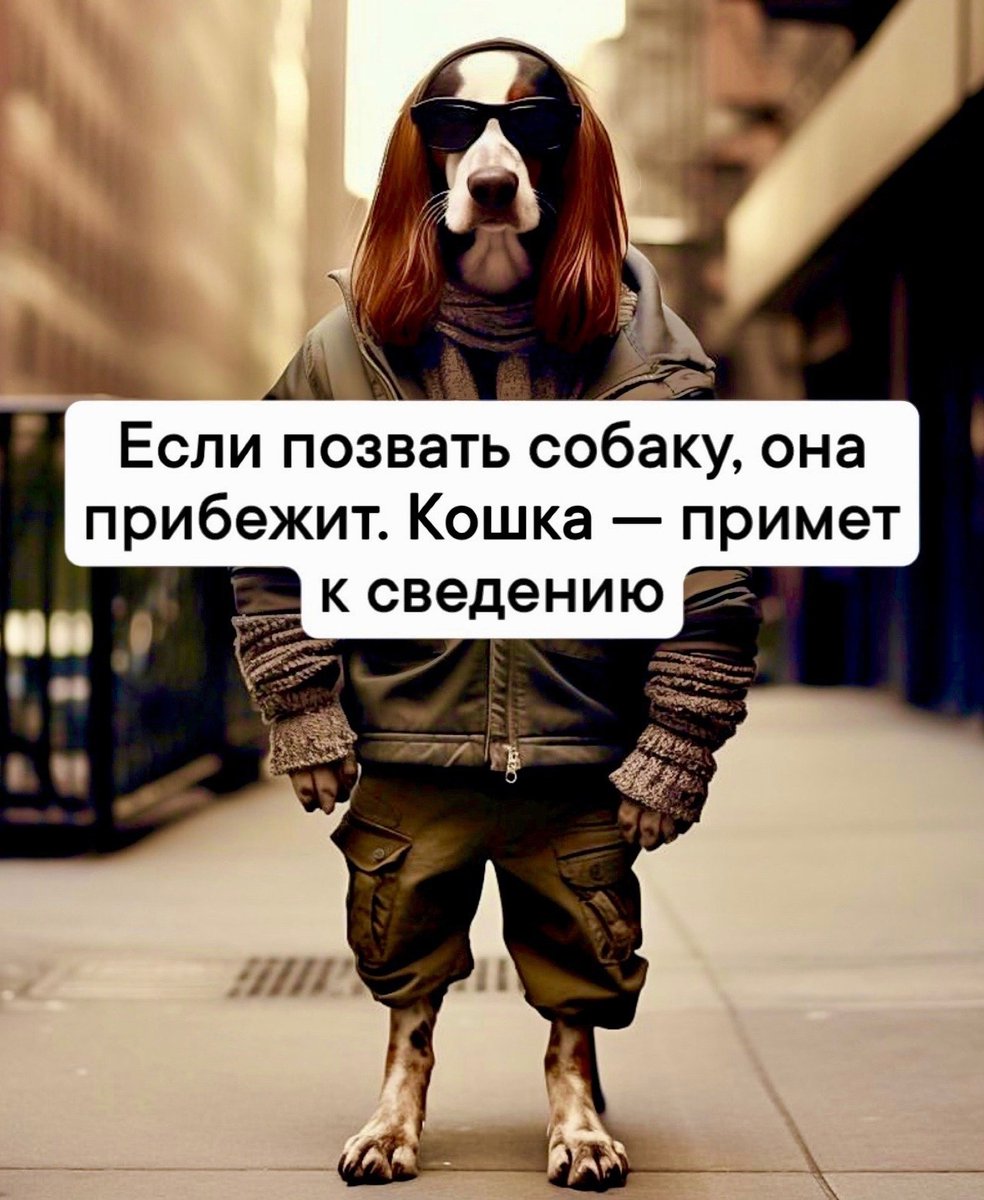 БЕЛЫЙ ЮМОР (@w_humor) on Twitter photo 2023-08-19 20:30:16