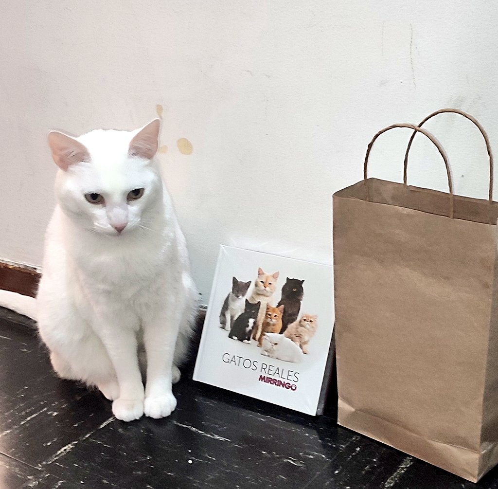 manguisbah's tweet photo. Muchas gracias @efectomirringo en familia vamos a disfrutar de este gran regalo ! https://t.co/JkcVrnBOeJ