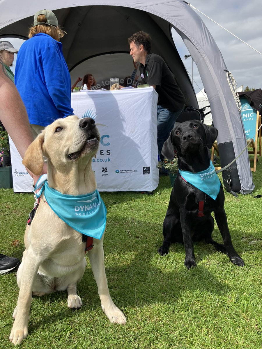 It’s been a Dog Ranger kind of day <a href="/southportflower/">Southport Flower Show</a> show!