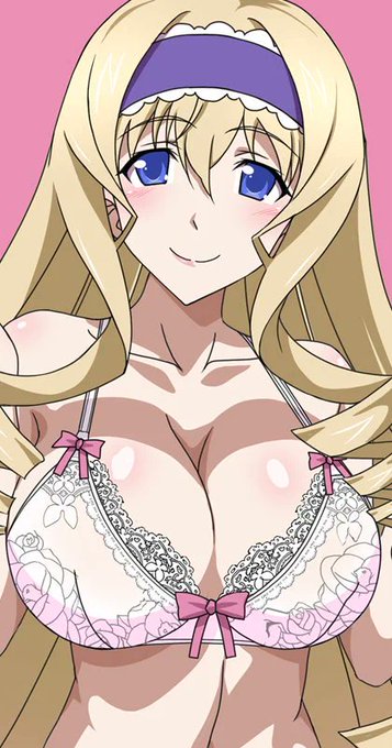 サブアカ(@KurodaAriake3)で経過報告しているセッシー抱きまくらですが、今のところ全裸・下着・ISスーツ・体操服の4差分

明日辺りには完成でBOOTH(https://t.co/ihznt8YyWf)にて発売予定です。 https://t.co/9HYvaw0wXj 