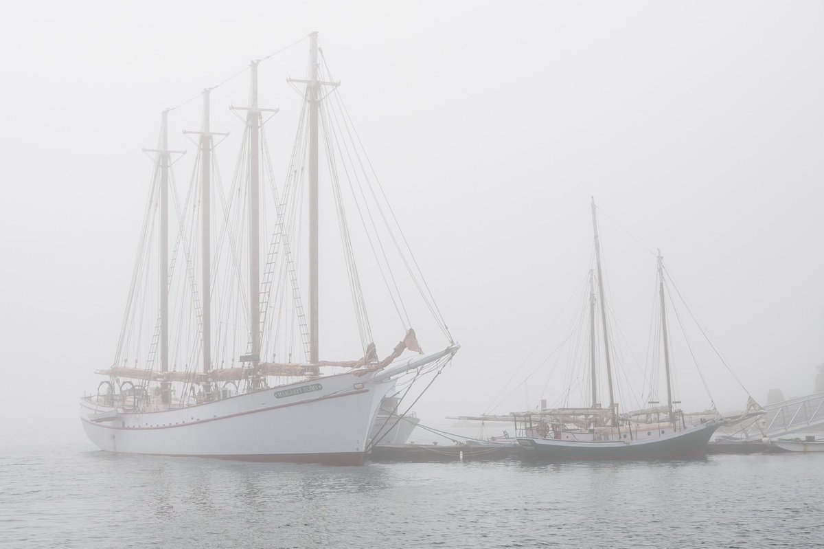 jeschultz's tweet photo. @NikonUSA Morning in Bar Harbor. July 2023. #WorldPhotographyDay #nikoncreators https://t.co/Tck2CONE5q