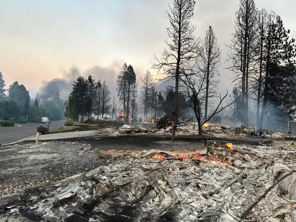 Zack Zappone tweet media