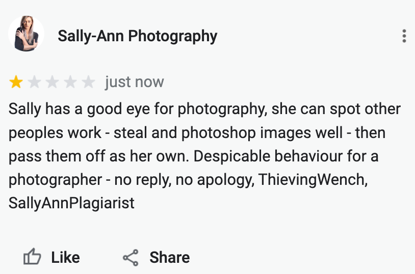 xboxbob's tweet photo. my latest #google review #SallyAnnPlagiarist https://t.co/835Jf1W088