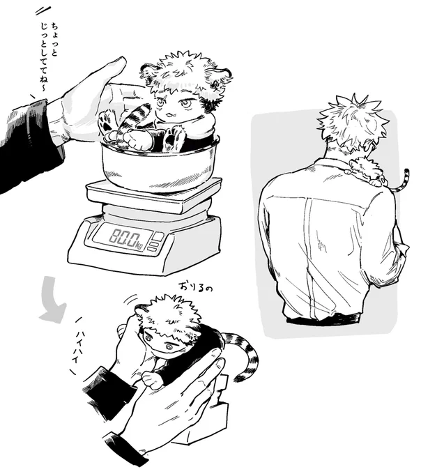 ちいこいゆじ 