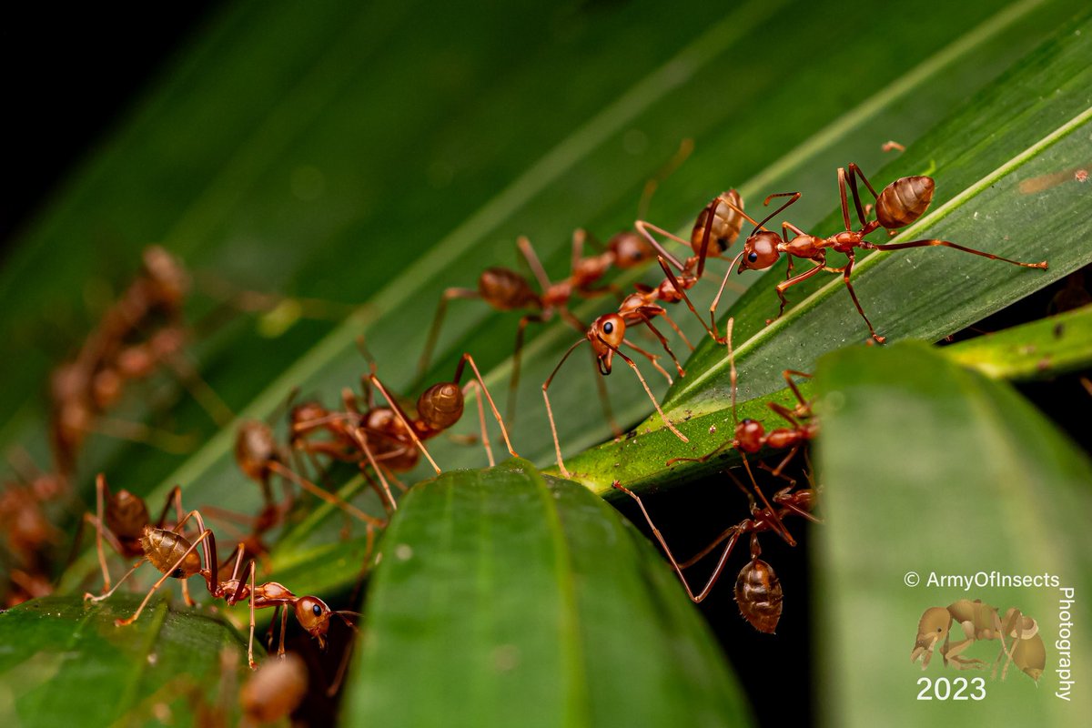 Josiah Kilburn tweet media