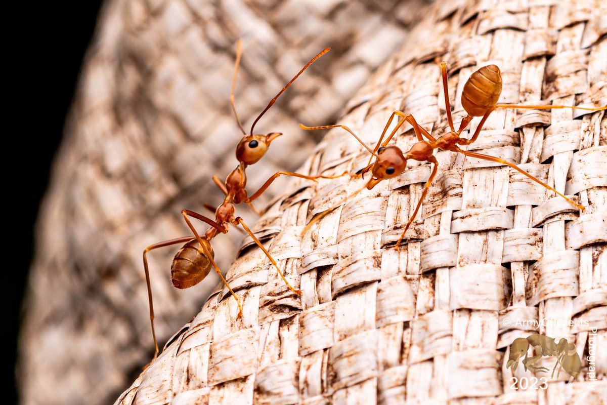 Josiah Kilburn tweet media