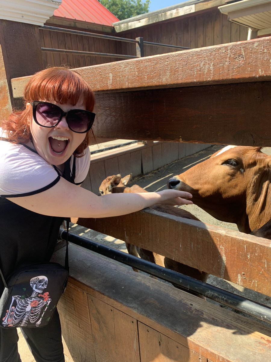 BunnyBuxom's tweet photo. Took a family trip to the farm yesterday and got to feed and pet so many sweet animals! #whitepostfarm #pettingzoo https://t.co/eQBL1i7RYh