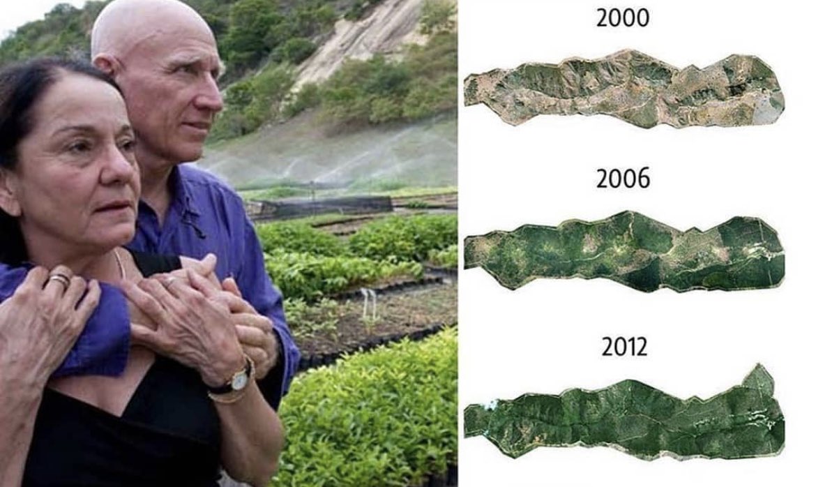 historyinmemes's tweet photo. In the early 1990s, Brazilian photojournalist Sebastião Ribeiro Salgado was stationed in Rwanda to cover the genocide, an experience that left him traumatized. In 1994, upon returning to his home in Minas Gerais, Brazil, Sebastião hoped to find solace in the lush green forest of his childhood, but instead, he discovered that his home had transformed into a dusty, barren land stretching for miles, devoid of any wildlife.

"The land was as sick as I was. Only about 0.5% of the land was covered in trees," he remarked.

It was at this time that his wife, Lélia Deluiz Wanick Salgado, proposed that they embark on the ambitious journey of replanting the entire forest. Sebastião supported the idea, and together, over the course of the next 20 years, they planted an astonishing 2.7 million trees. Their efforts resulted in the rejuvenation of 1,500 acres of rainforest, and the site eventually became home to 293 plant species, 172 bird species, and 33 animal species, some of which were on the brink of extinction.