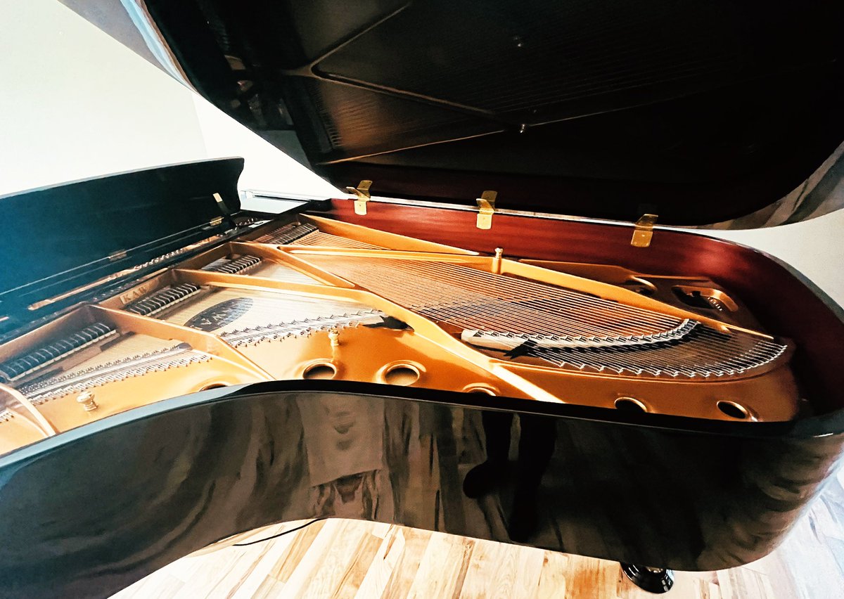 truthbglory's tweet photo. GM
May beauty, warmth and richness fill your weekend. @KawaiPianos
#kawai #japanese #innovativeaction https://t.co/OohJ7asEAr