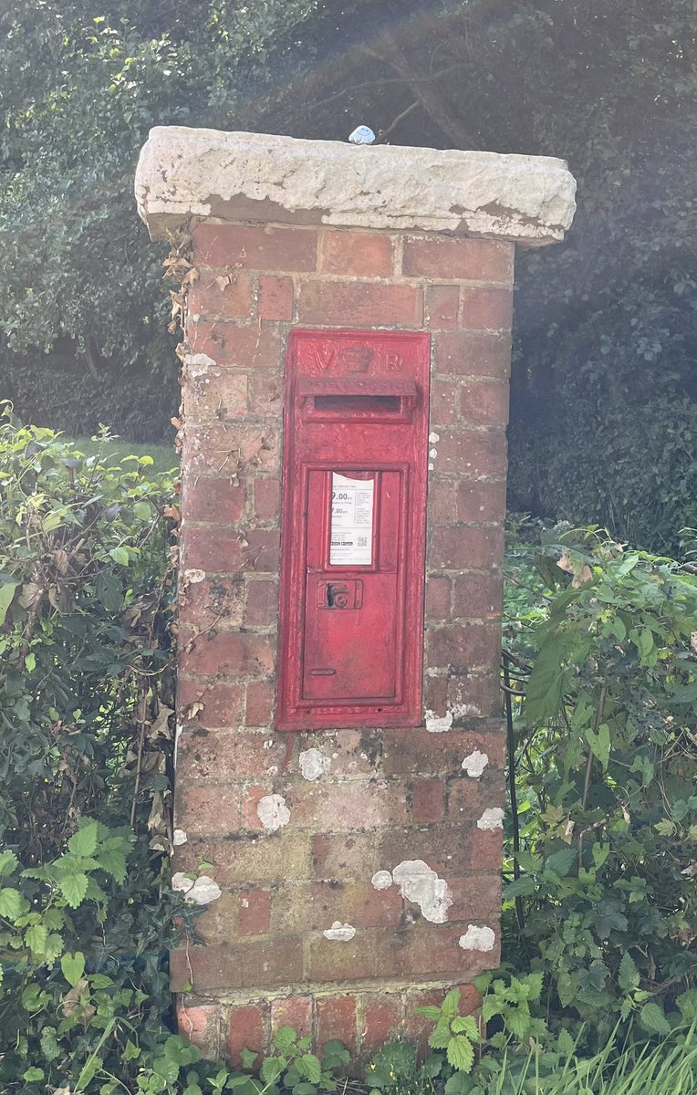 A little visitor atop the box box #postboxsaturday
