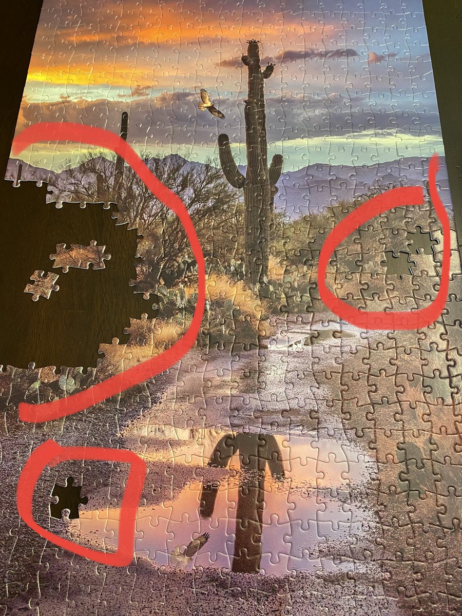krisq's tweet photo. @BuffaloGamesInc um, I have never opened a new puzzle and found this mess before…missing like 40 pieces or something! https://t.co/zjhWwiExVT