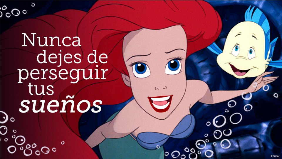 Mundos Mágicos tweet media