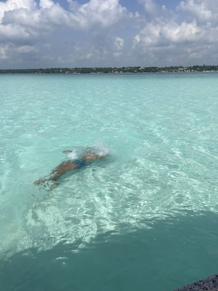 Nicola Di Anselmo tweet media