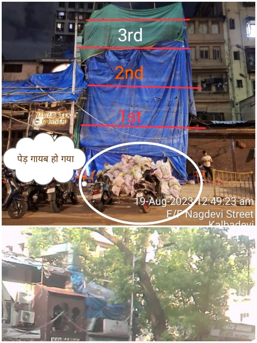 VrnewsIn's tweet photo. 84 A मोहम्मद अली रोड मस्जिद बन्दर , मुंबई,3 contractor ने,अवैध बन रहे मॉल  के लिये नियम को ताक पर रख 25 फ़ीट ऊँचा हरा भरा पेड़ काट दिया, पर्यावरण को नुकसान पहुंचने और प्रदूषण एक्ट के तहत मामला दर्ज किया जाये.
@CMOMaharashtra @mybmcWardB 
@mybmc @SMungantiwar  @lqbalSinghchan2 https://t.co/0LLhytJ9Ga