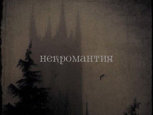 hibiscusbbl's tweet photo. Итак, интерактив "Вы в мире тёмного фэнтези"🌘🗡️♠️
Ваши мистические способности -
последняя цифра лайка на этом твите.
1. 0
2. 1
3. 2
4. 3 https://t.co/wUC9O2xpgj