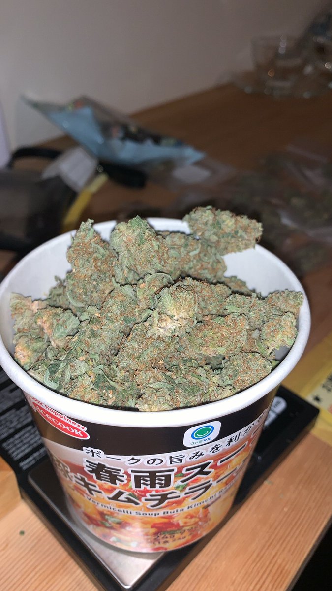 Satsuma_sokai's tweet image. ブリブリったい💐