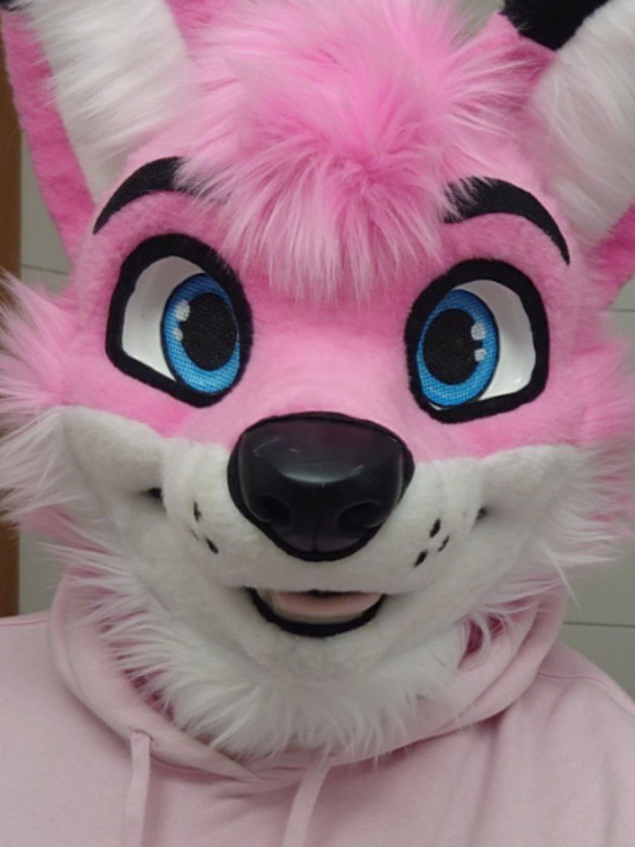 AlphaDogsStudio's tweet photo. ⚠️🆘HAVE YOU SEEN THIS FURSUIT OR THIS WHITE BAG CONTAINING THE FURSUIT HEAD 🆘⚠️

It’s possible the white bag containing this fursuit head got lost somewhere in Berlin Airport Terminal 1 on Tuesday the 15th of August around 17:00-19:00.

Other places could be: Airport Security, Lost and Found, The Ambulance or the Vivantes Hospital Berlin-Neukölln.

The owner lost the bag when he passed out in the airport and could not find the bag together with his belonging when he woke up at the hospital. The airport security and lost and found has not identified the bag. 

Last time this suit got lost this amazing community managed to bring it back! Could we be so luck this time as well? 

If you know anything please contact @rotfell which is handling this investigation.